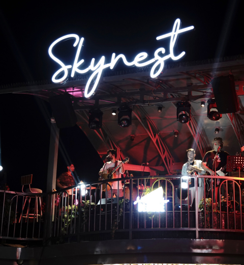 Skynest