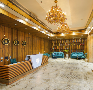 Bravia Hotels